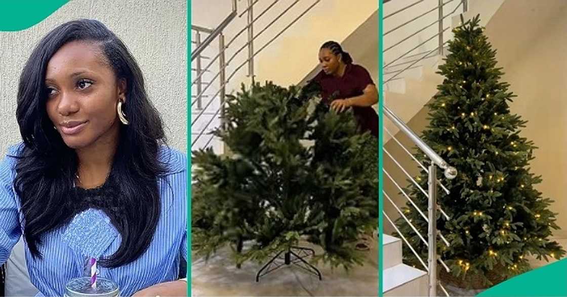 Lady buys Christmas tree for N878k