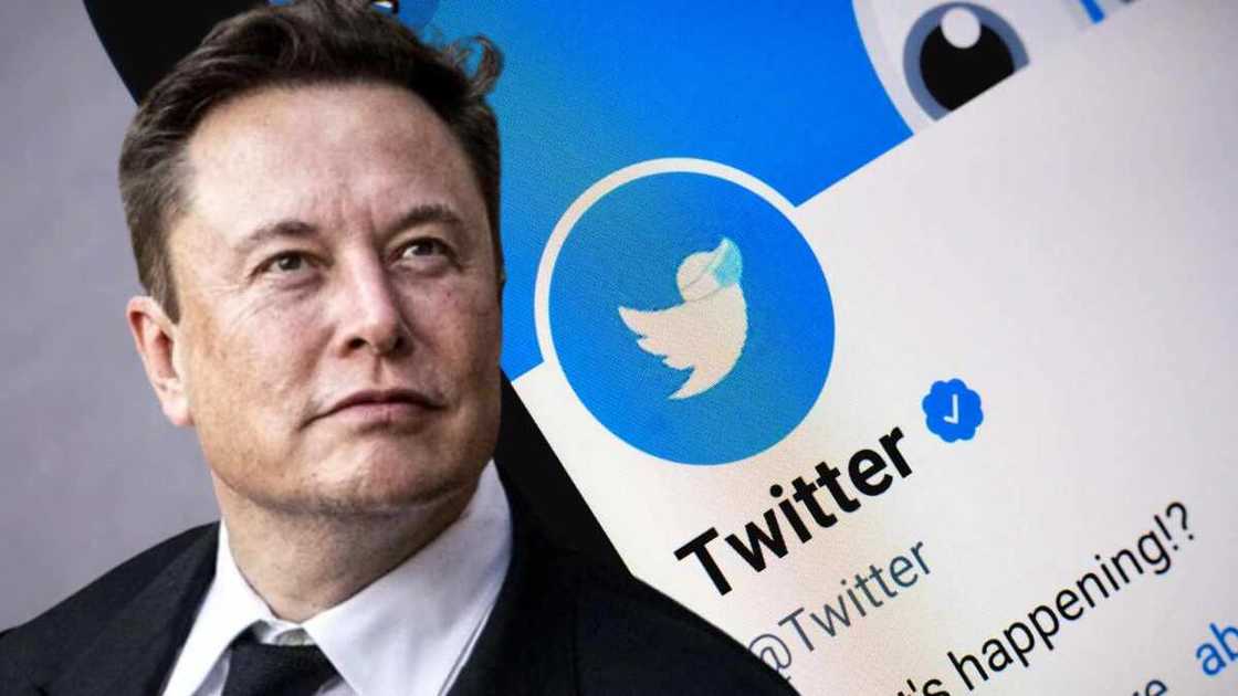 Yadda Elon Musk zai fara biyan kudi ga 'yan Twitter Yadda Elon Musk zai fara biyan kudi ga 'yan Twitter