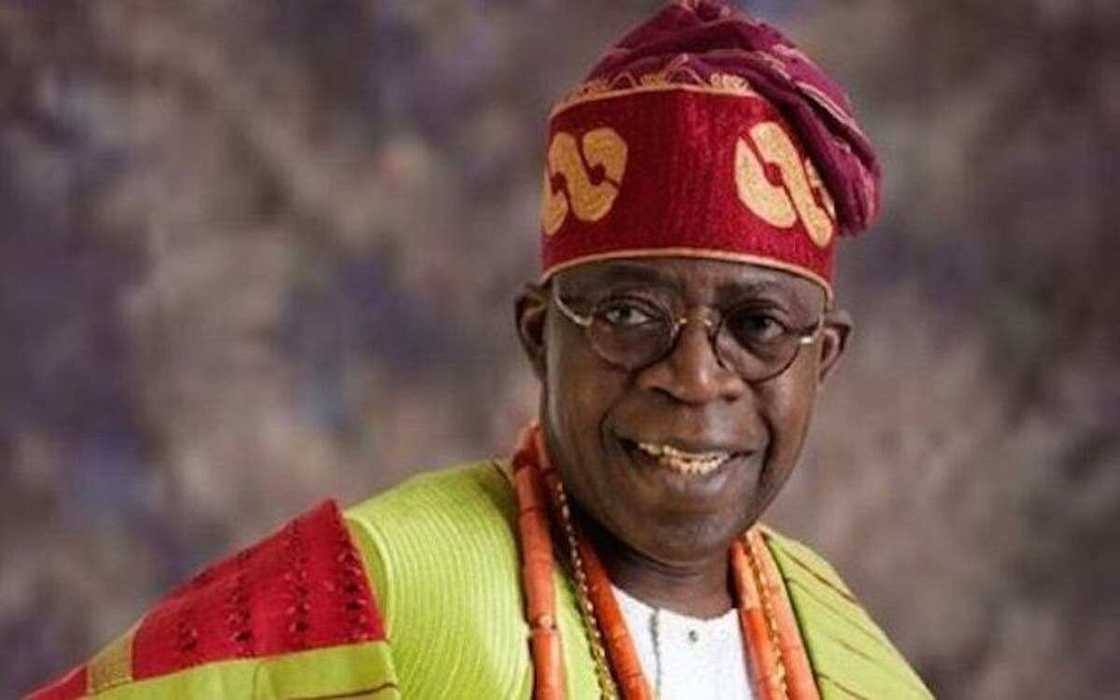 Support groups mobilising for Tinubu presidency in 2023