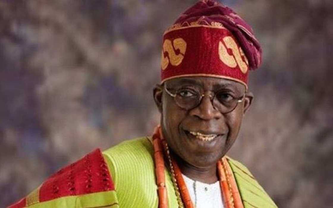 Support groups mobilising for Tinubu presidency in 2023 Support groups mobilising for Tinubu presidency in 2023