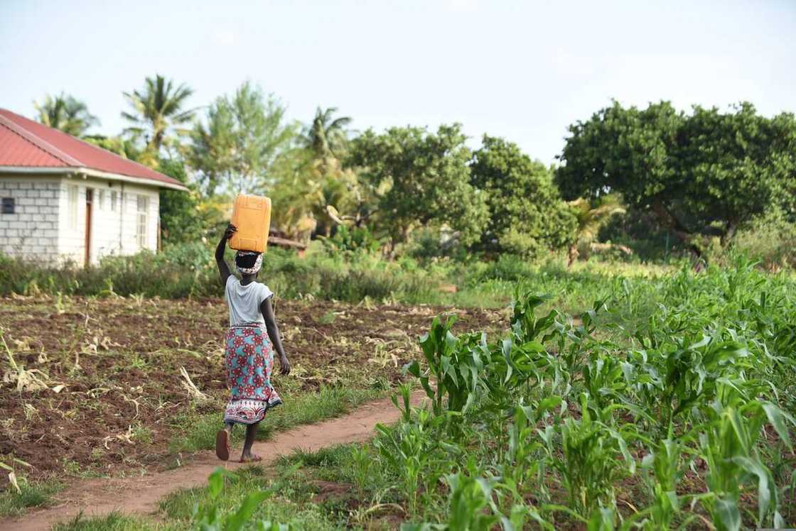 examples of land tenure systems examples of land tenure systems
