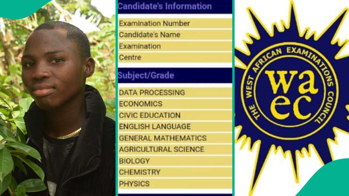 Nigerian student clears his 2024 WAEC result with 7As and 1B and 1C