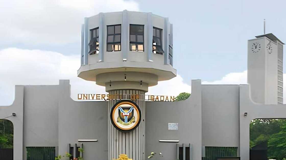 Federal universities offering nursing in Nigeria