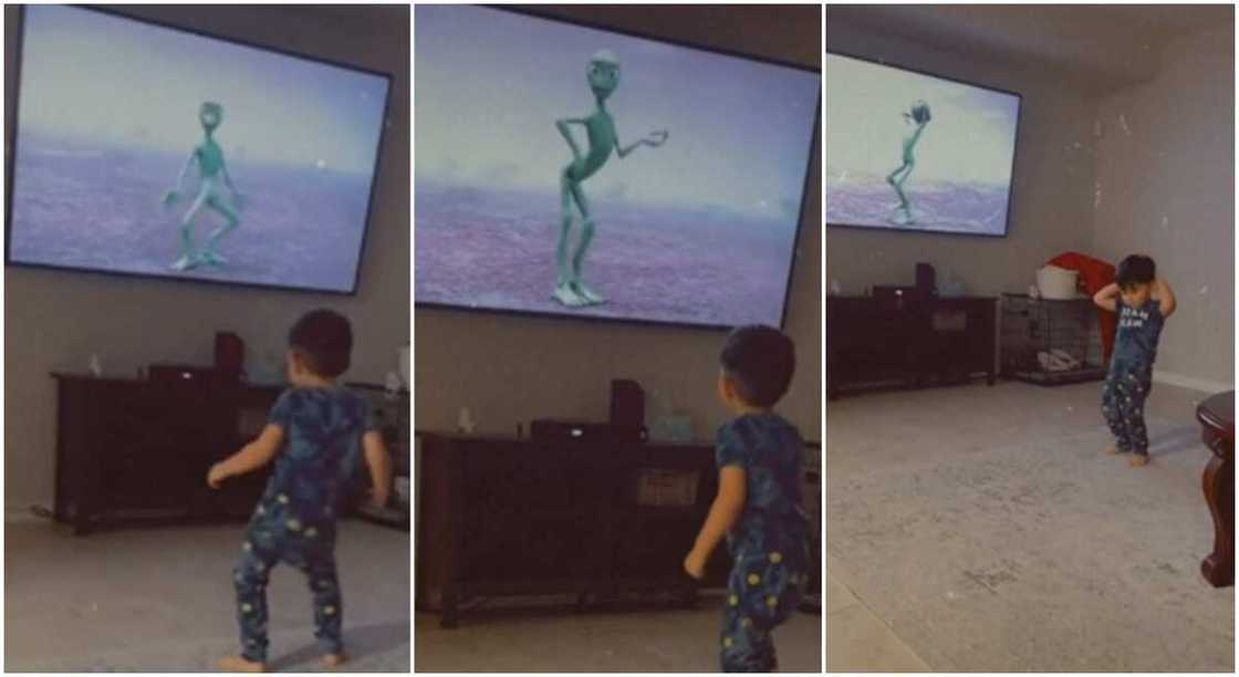 Boy joins dancing frog to dance in an astonishing funny video