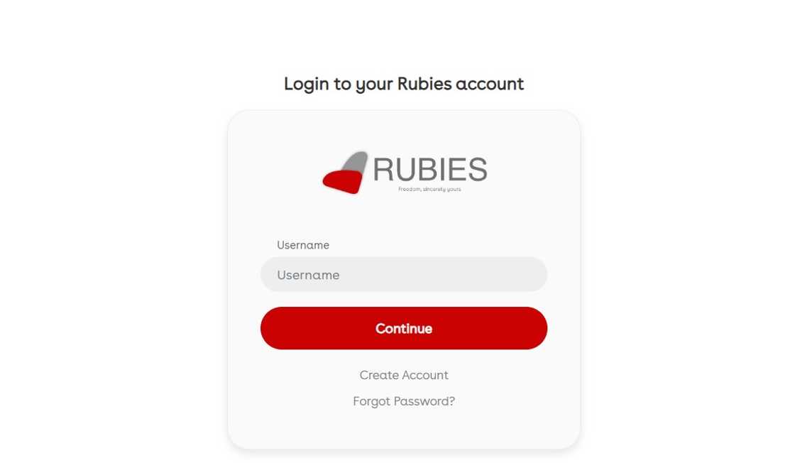 A screenshot of Rubies log in page