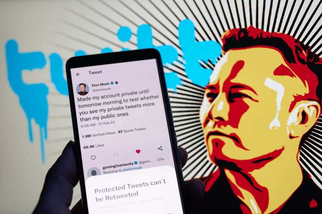 Elon Musk, Twitter verification, Businesses