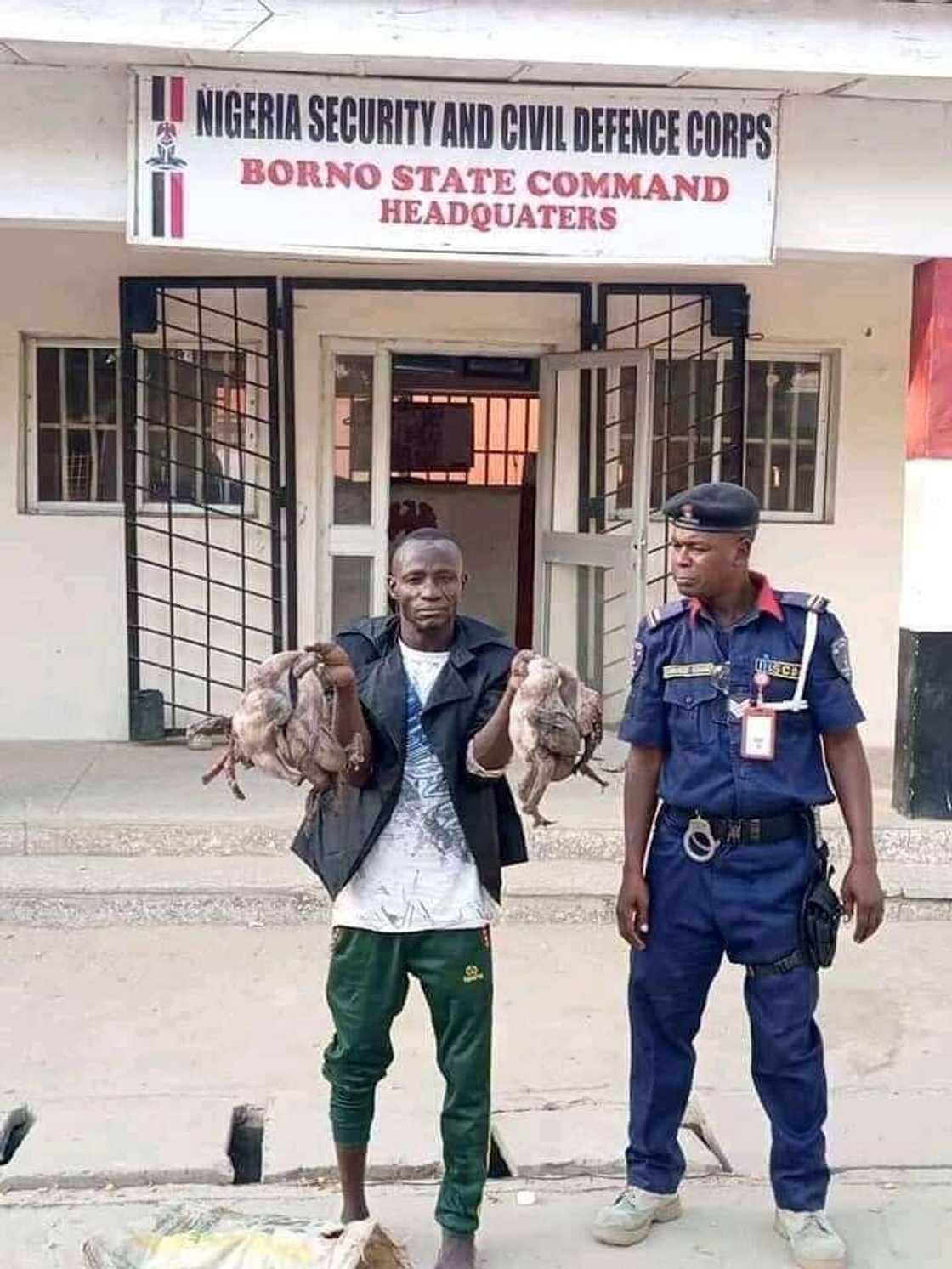 Shekaru 5 ina sayarwa mutane mushen kaji a Maiduguri, Ebere