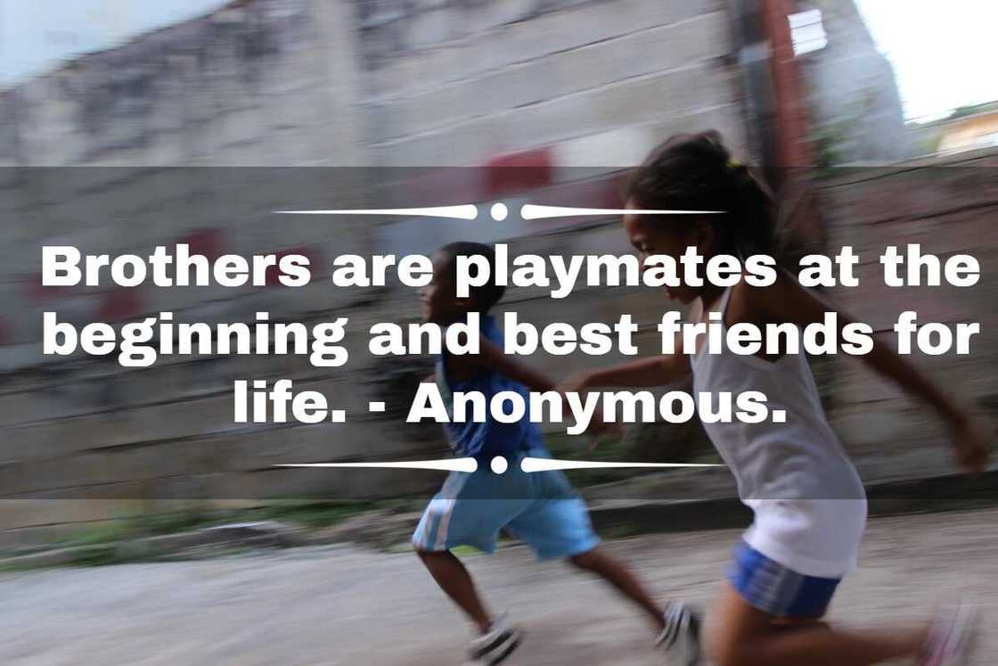 brother quotes from sister brother quotes from sister