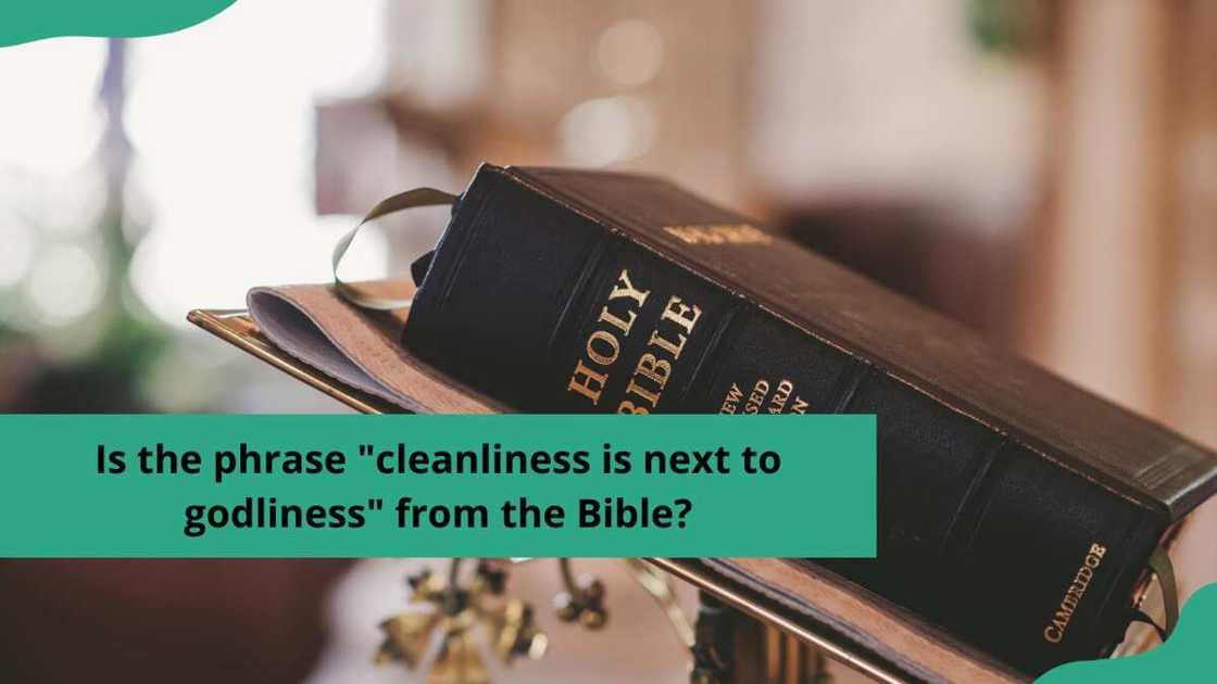 cleanliness is next to godliness cleanliness is next to godliness