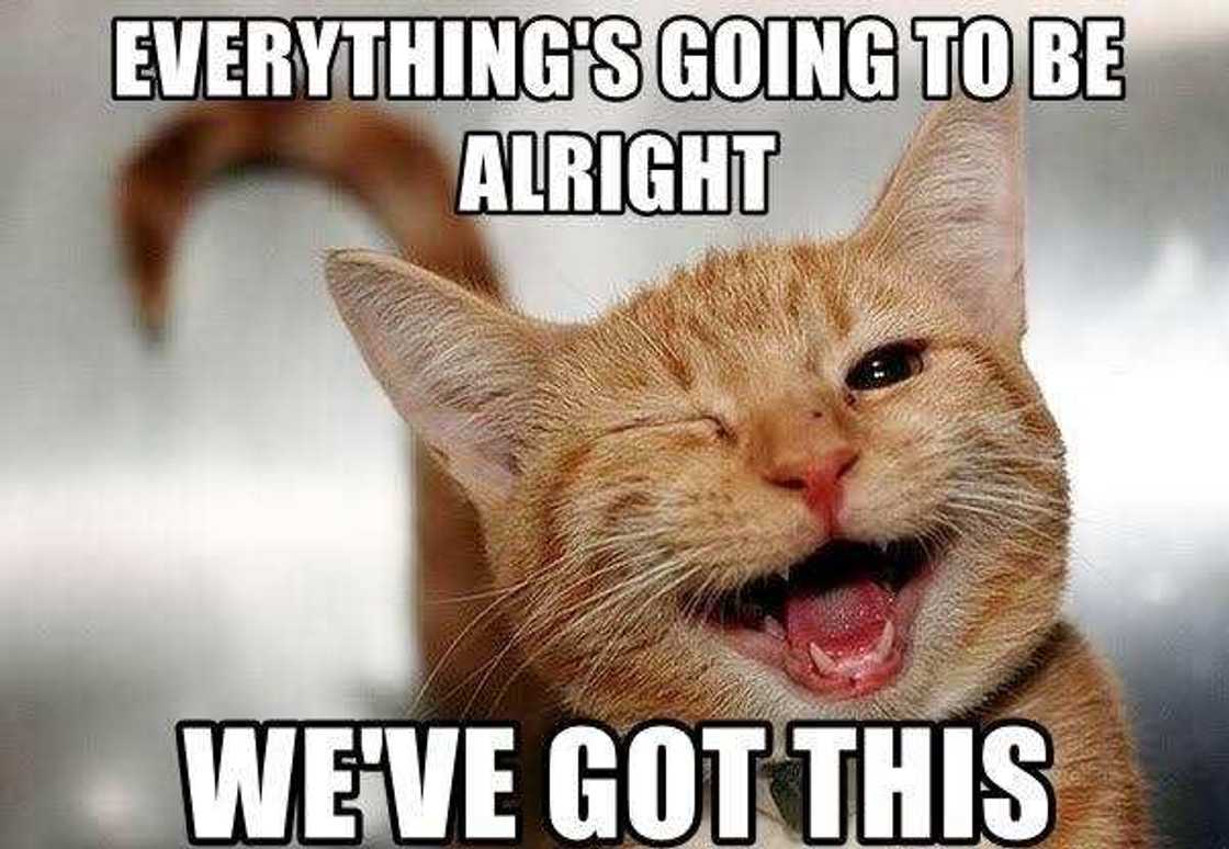 30+ relatable tired meme ideas to exchange with your coworkers 30+ relatable tired meme ideas to exchange with your coworkers