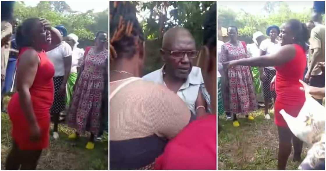 Budurwa da mahaifinta Budurwa da mahaifinta