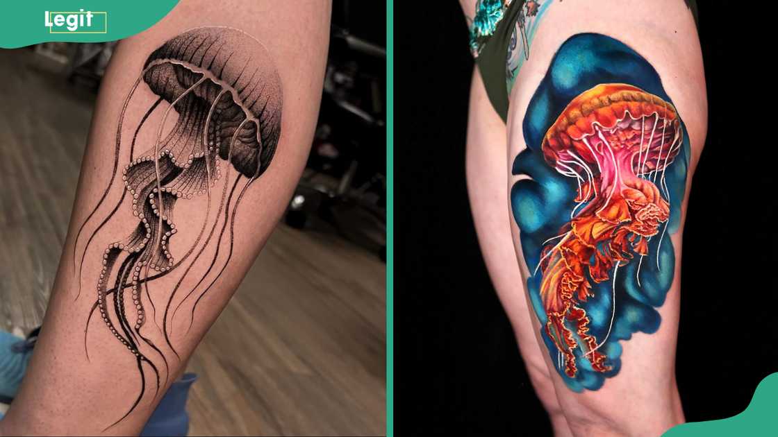 Realistic jellyfish tattoo Realistic jellyfish tattoo