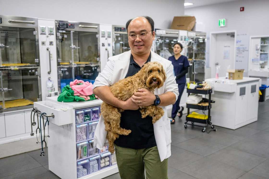 An AI reading of Mozzi's X-rays showed the goldendoodle had a knee condition that needed careful management An AI reading of Mozzi's X-rays showed the goldendoodle had a knee condition that needed careful management