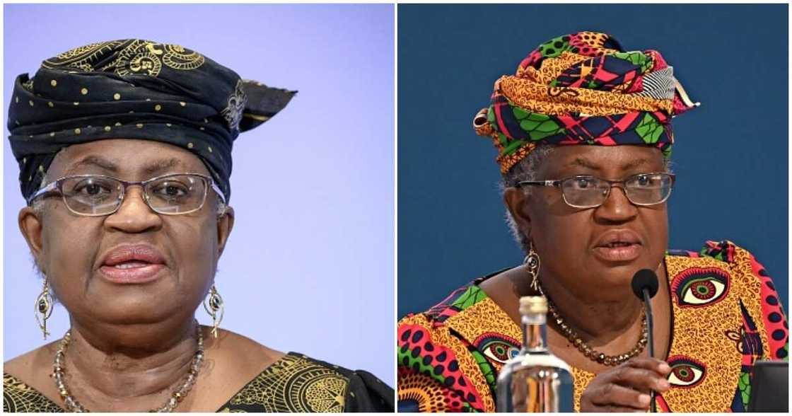 IWD: 3 powerful Nigerian women holding leading roles in international organisations IWD: 3 powerful Nigerian women holding leading roles in international organisations