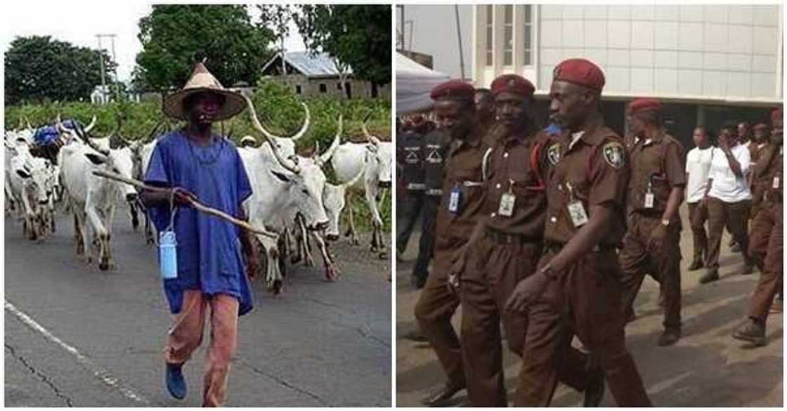 Miyetti Allah seeks inclusion in Operation Amotekun Miyetti Allah seeks inclusion in Operation Amotekun