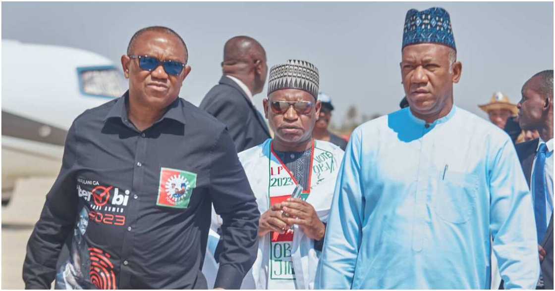 Peter Obi, Labour Party Peter Obi, Labour Party