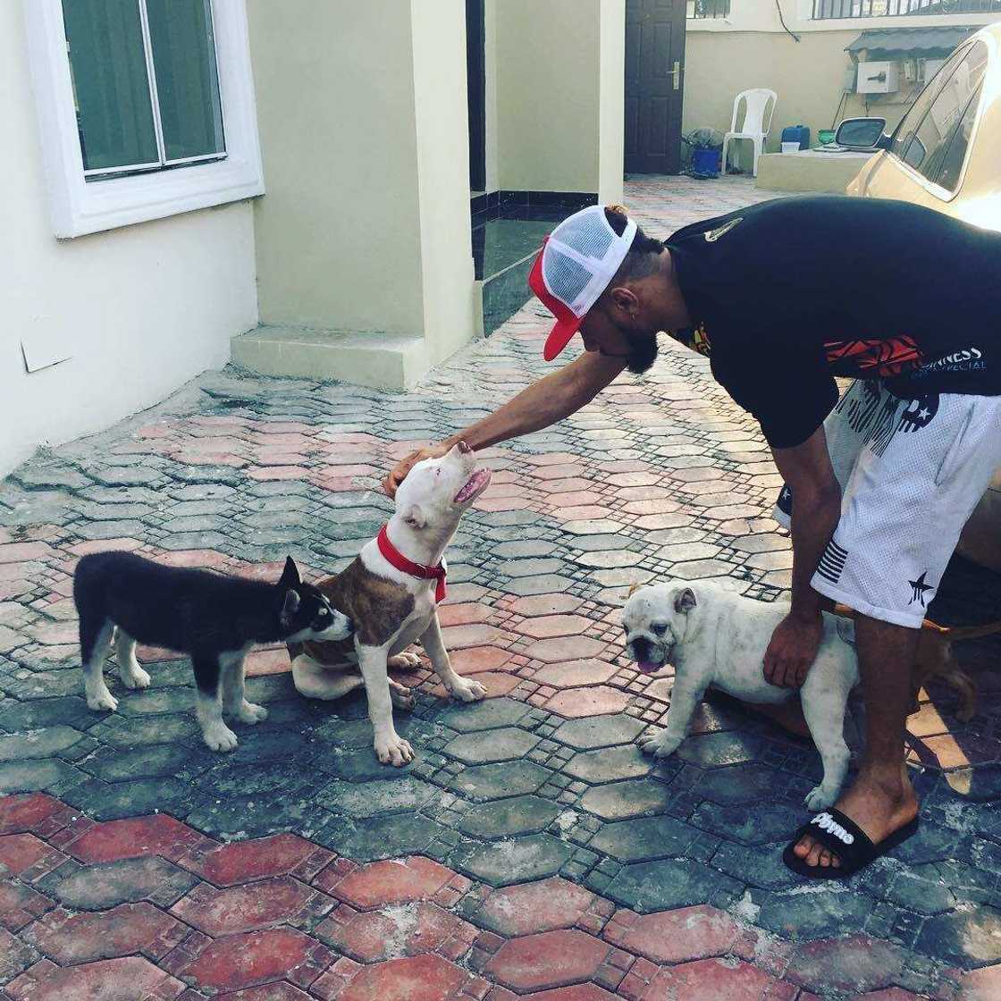Phyno and his dogs Phyno and his dogs