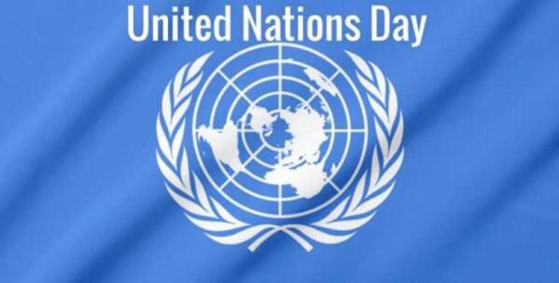 Apply now: UN Group Announces New Opportunity for Nigerians, Others, Deadline is May 14 Apply now: UN Group Announces New Opportunity for Nigerians, Others, Deadline is May 14
