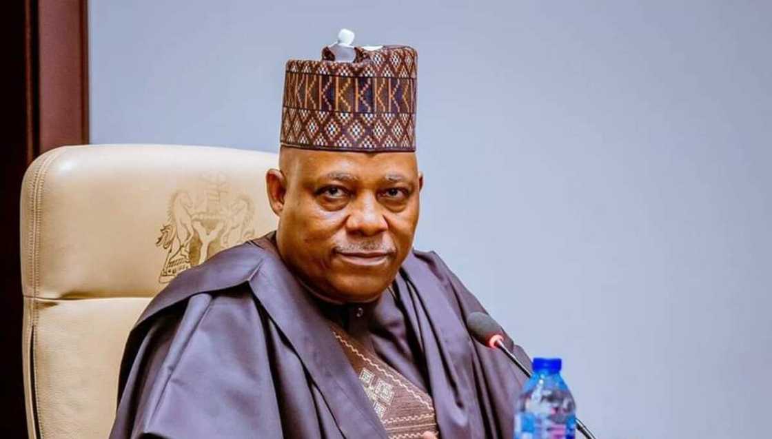 Shettima ya buƙaci masoyansa da kar su wallafa saƙon taya shi murna a jaridu