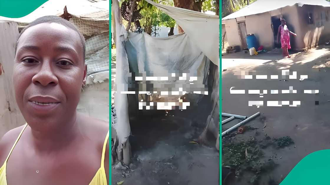 Woman appeals for support after being deported from US, where she lived for 42 years, to Haiti