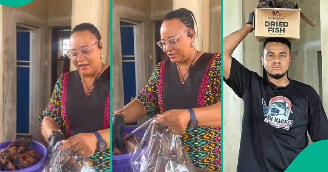 Fish Magnet's mother advertises her son's business. Fish Magnet's mother advertises her son's business.