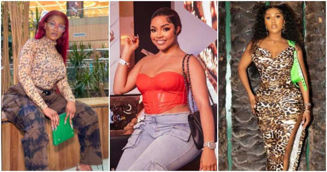 BBNaija's Tacha, Nengi, Mercy