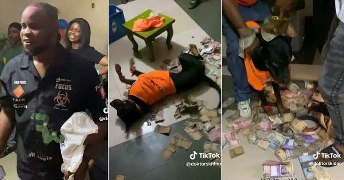 Man celebrates loyal dog's birthday Man celebrates loyal dog's birthday