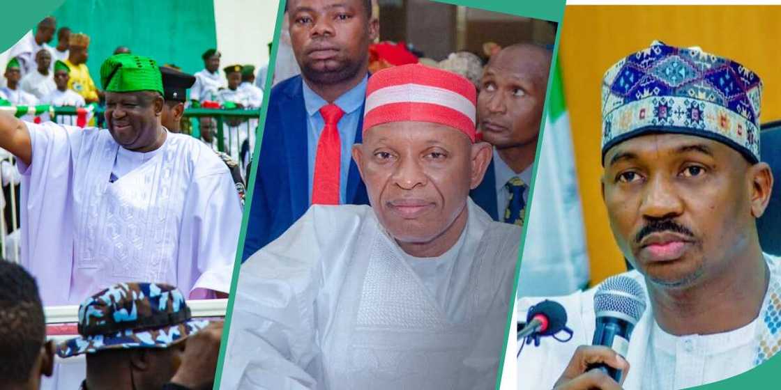 Kotun koli Kotun koli