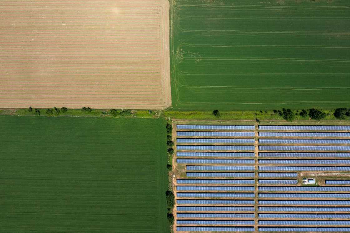 Solar accounted for 23 percent of the 55 percent of electricity consumed from renewables last year Solar accounted for 23 percent of the 55 percent of electricity consumed from renewables last year