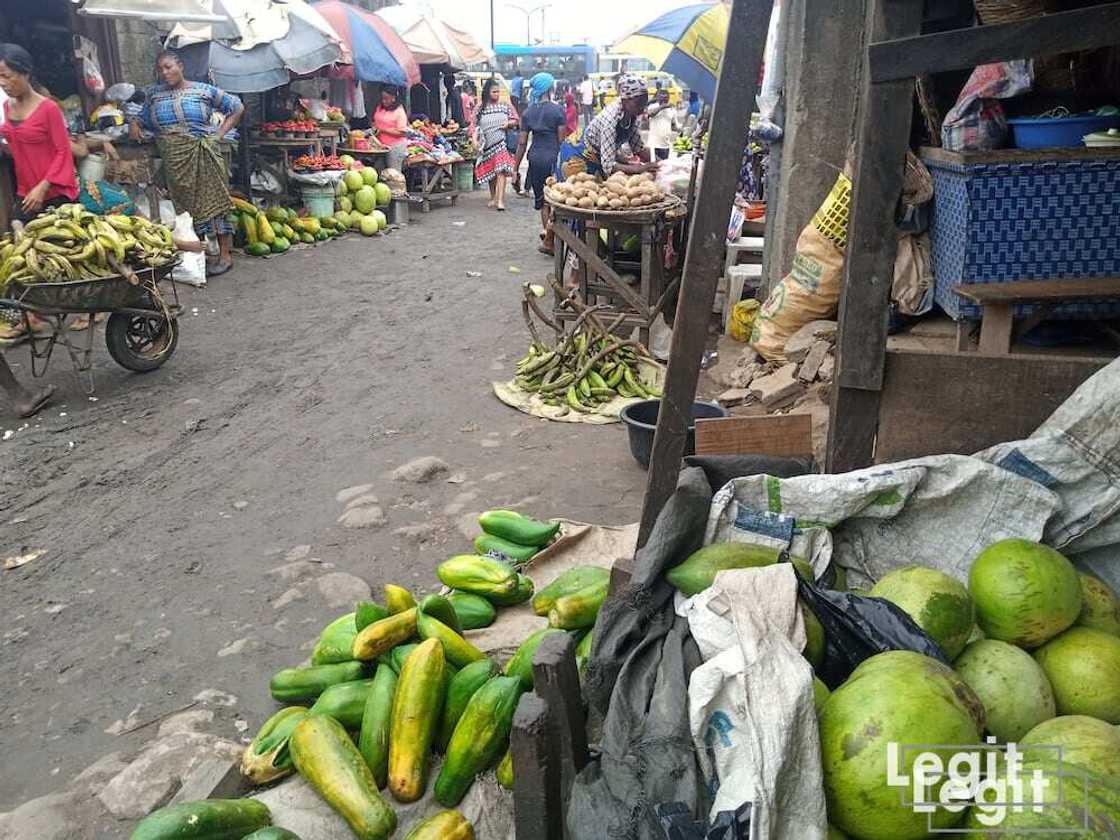 Legit.ng Weekly Price Check: Top 5 Markets in Lagos That Offer Goods at Affordable Prices Legit.ng Weekly Price Check: Top 5 Markets in Lagos That Offer Goods at Affordable Prices