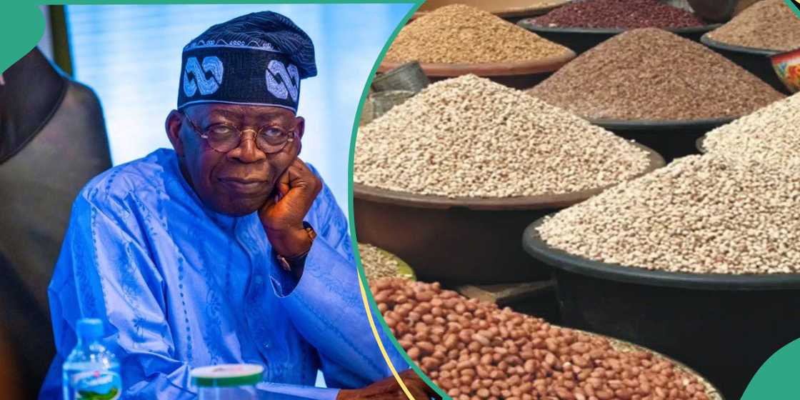 Reason for delay in duty-free food import rollout Reason for delay in duty-free food import rollout