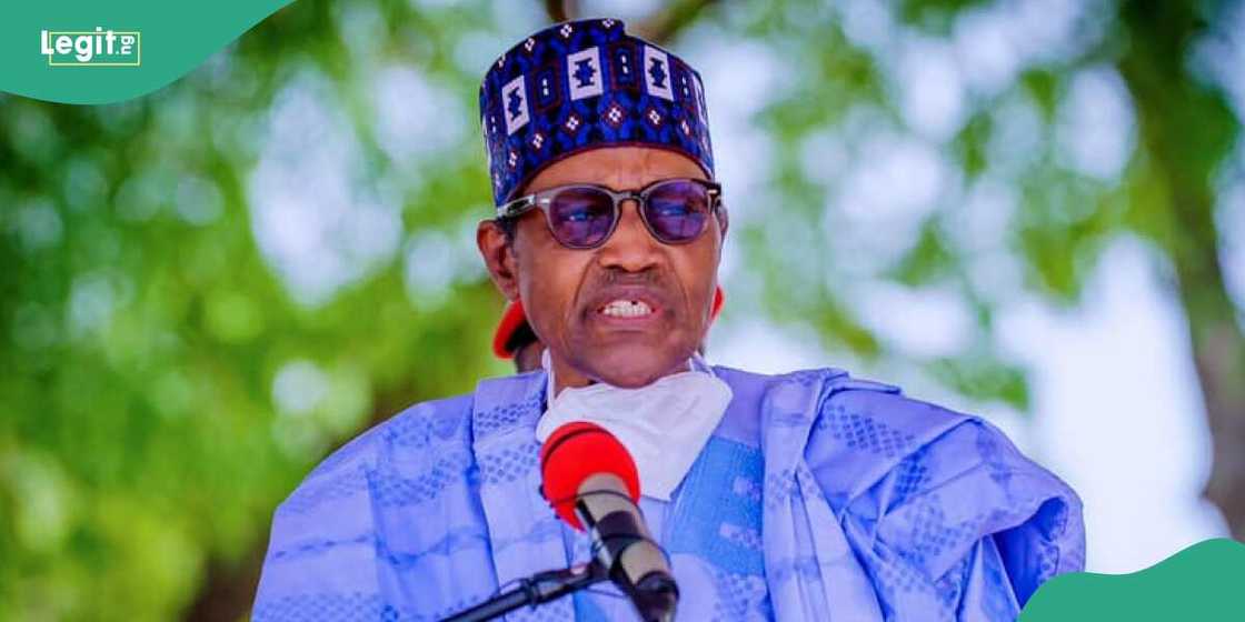 Buhari deliberately refused to release his WAEC result