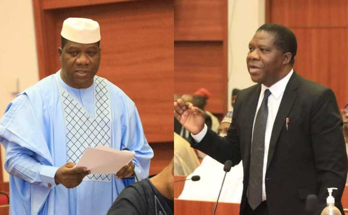 Senate, Senator Bamidele, Majority Leader