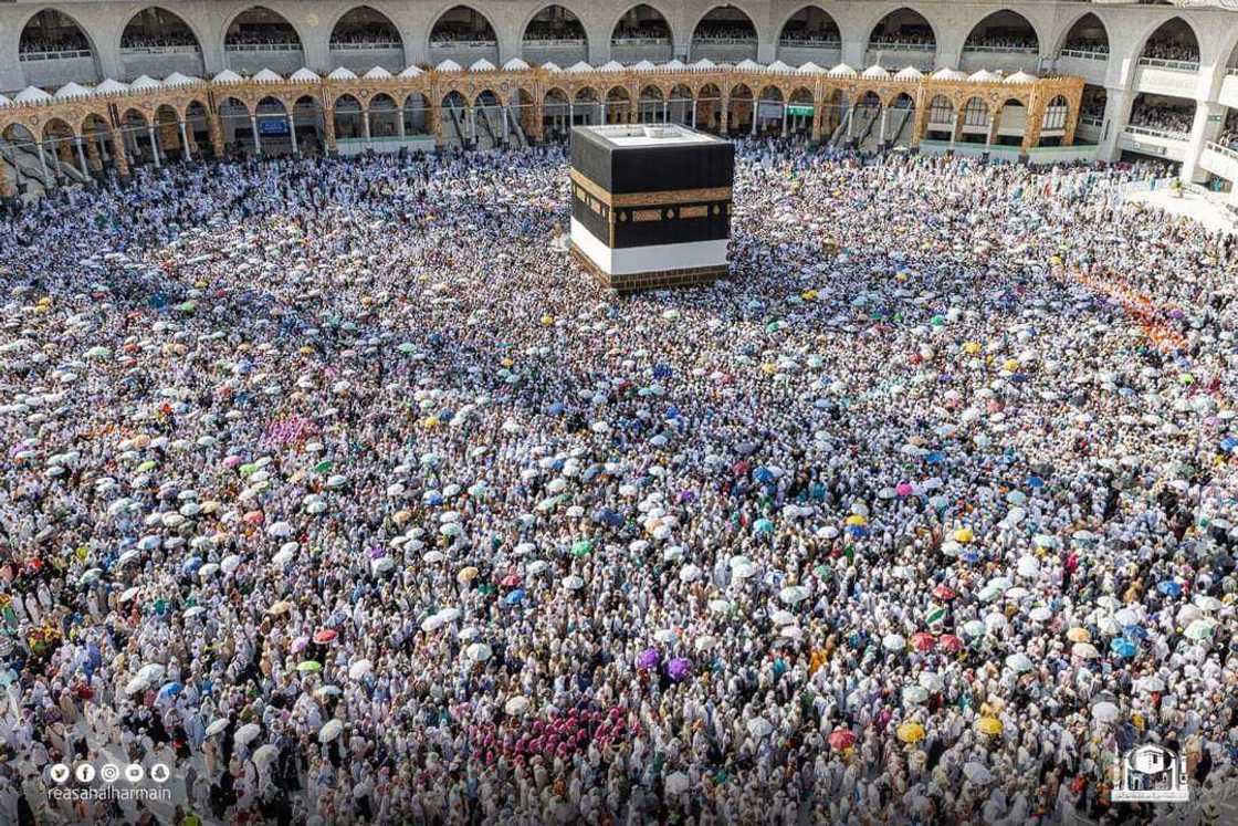 Hoto Alhazawa yayin aikin Hajjin Bana. Hoto Alhazawa yayin aikin Hajjin Bana.