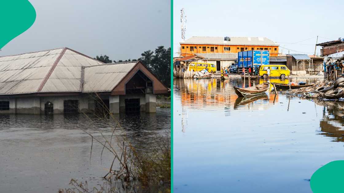 200 families displaced by flooding in River state, animals invade homes