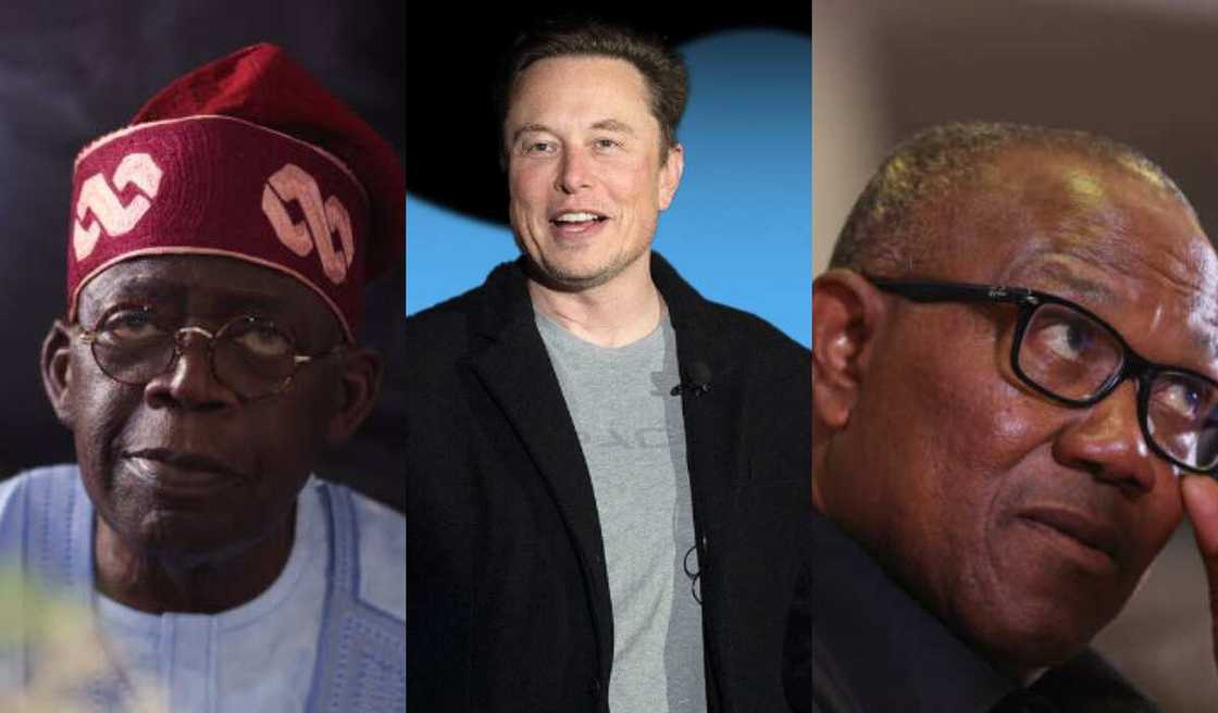 Elon Musk, Tinubu, Obi Elon Musk, Tinubu, Obi