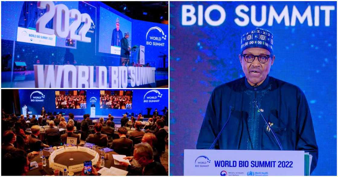 Shugaba Buhari Shugaba Buhari