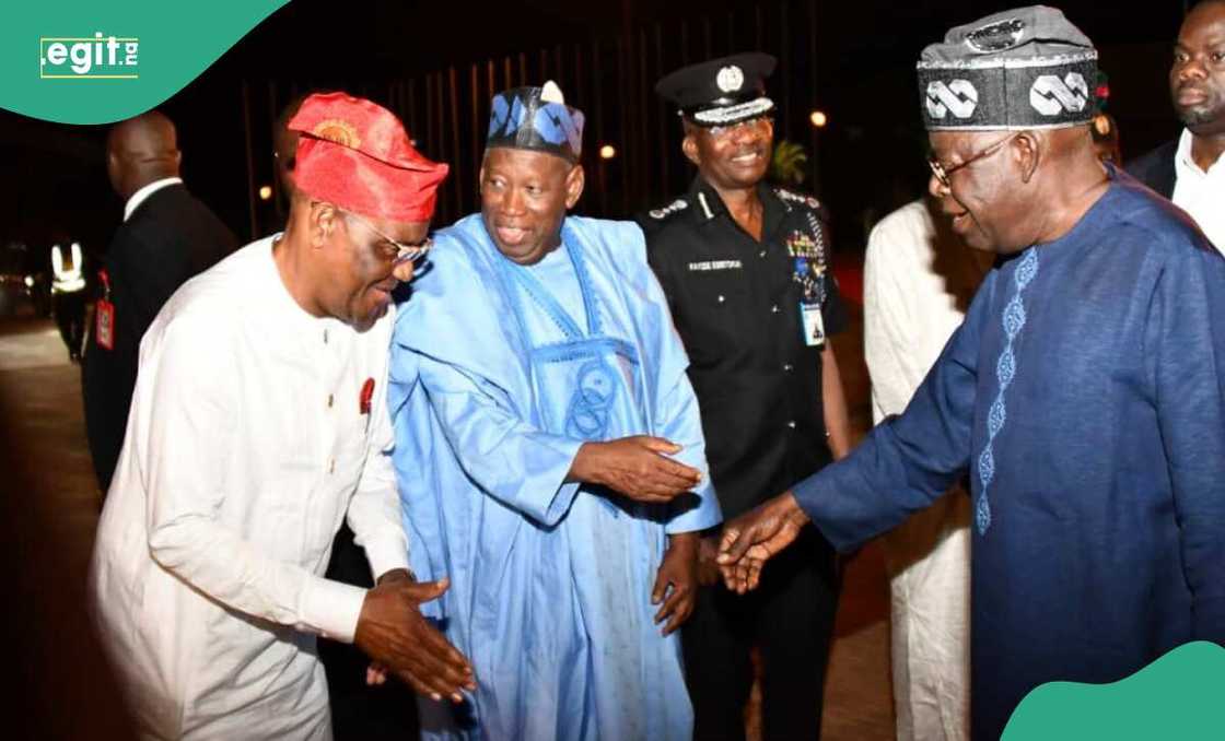 Popular lawyer discloses “biggest mistake” APC govt has made Popular lawyer discloses “biggest mistake” APC govt has made