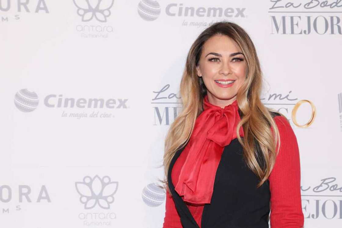 Aracely Arambula poses for a photo in a red and black outfit