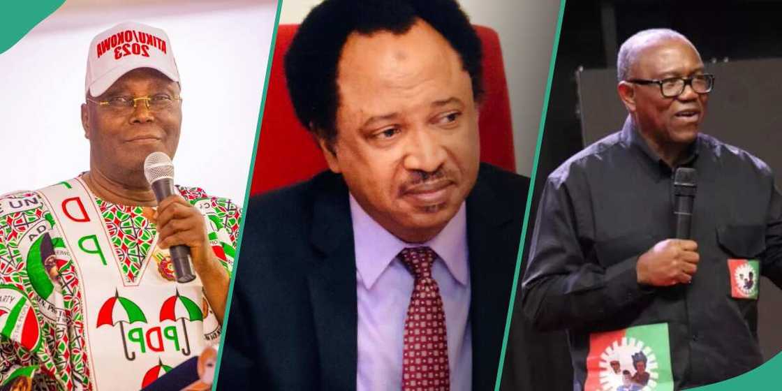 Shehu Sani reveals only Nigeria President to have ever congratulated a winner