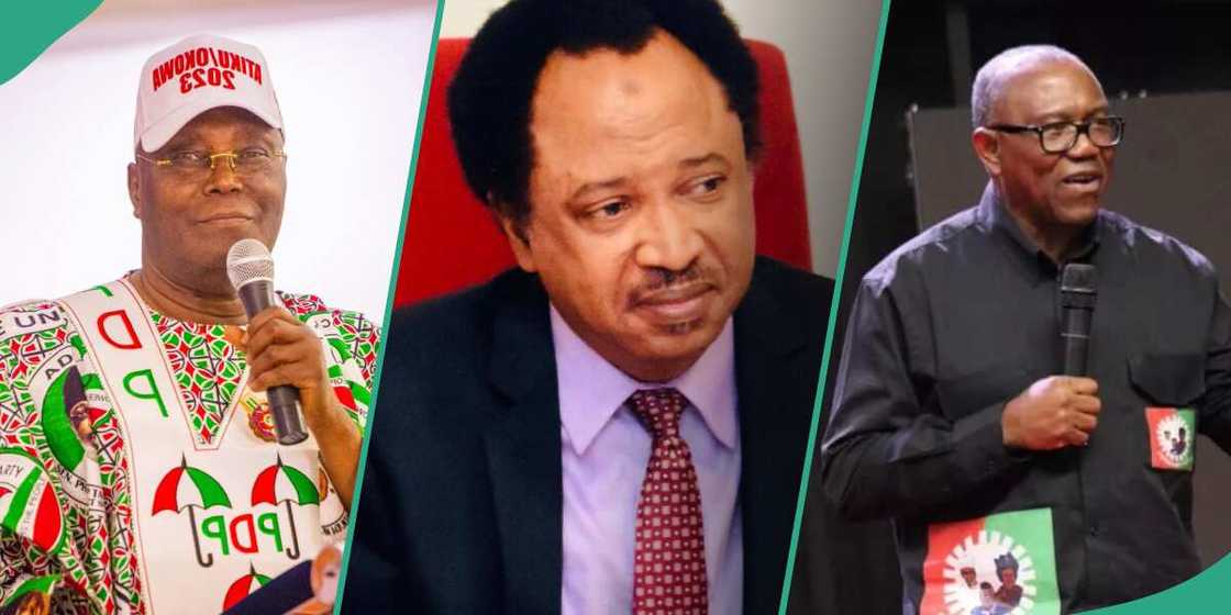Shehu Sani reveals only Nigeria President to have ever congratulated a winner Shehu Sani reveals only Nigeria President to have ever congratulated a winner
