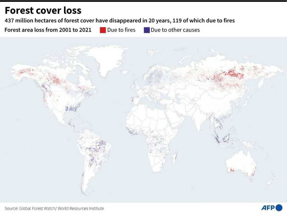 Forest cover loss Forest cover loss