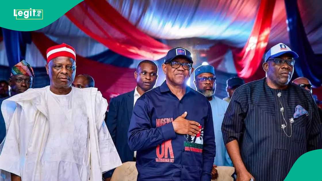 Rabiu Kwankwaso at 70, Rabiu Kwankwaso political career, Kwankwasiyya movement, Peter Obi and Rabiu Kwankwaso, NDC 2027 election, Kwankwaso achievements, Nigeria politics on Legit.ng Rabiu Kwankwaso at 70, Rabiu Kwankwaso political career, Kwankwasiyya movement, Peter Obi and Rabiu Kwankwaso, NDC 2027 election, Kwankwaso achievements, Nigeria politics on Legit.ng