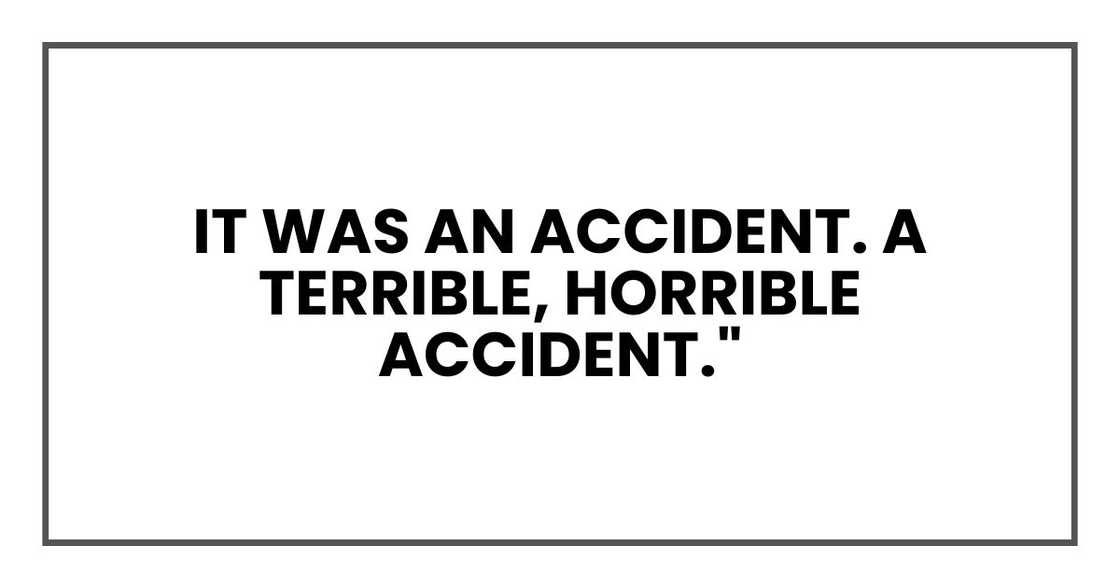 It was an accident. A terrible, horrible accident."