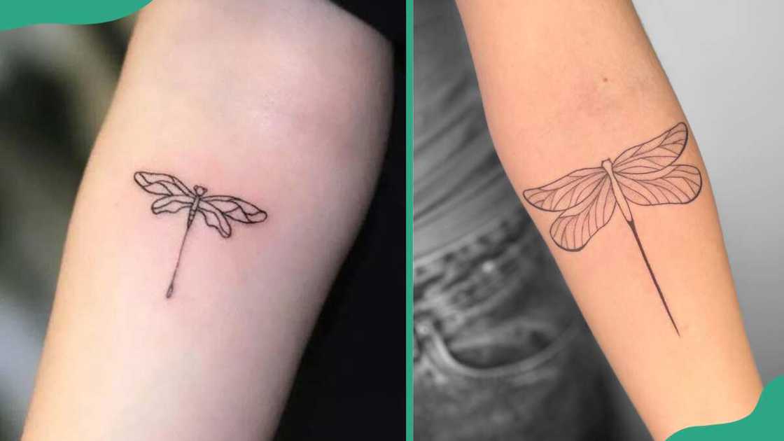 Tiny dragonfly tattoos Tiny dragonfly tattoos