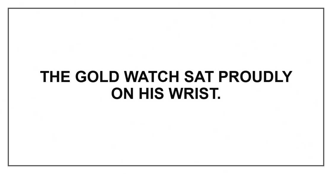 The gold watch sat proudly on his wrist.