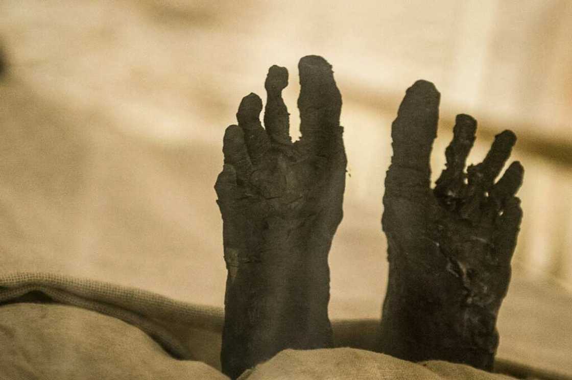 The linen-wrapped mummy of Tutankhamun displayed in a climate-controlled glass case in the Valley of the Kings in Luxor in 2015 The linen-wrapped mummy of Tutankhamun displayed in a climate-controlled glass case in the Valley of the Kings in Luxor in 2015