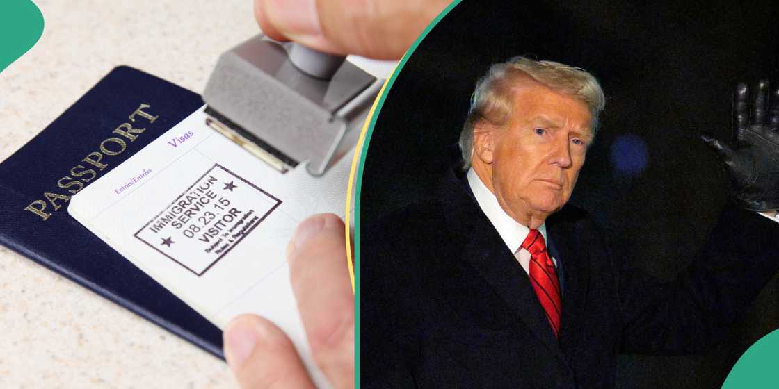 documents, America, US, president, Donald Trump, immigration, customs, ICE, undocumented, illegal, deportations. documents, America, US, president, Donald Trump, immigration, customs, ICE, undocumented, illegal, deportations.