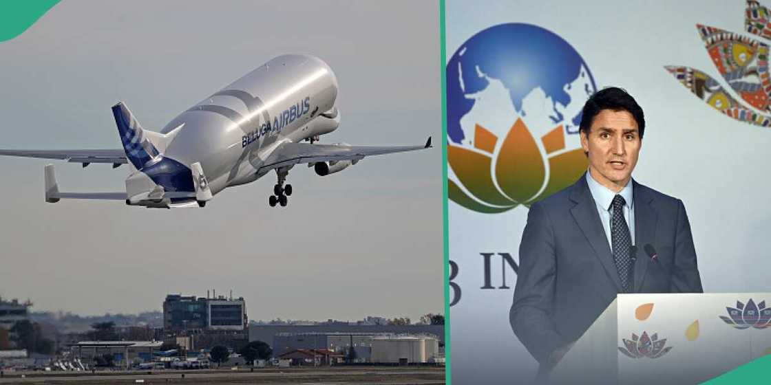 New programme launched by Canadian city to help Nigerians relocate New programme launched by Canadian city to help Nigerians relocate