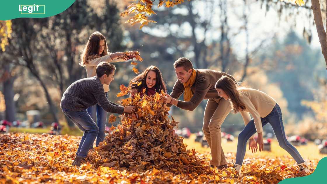 Family gather leaves to make a big foliage pile outside on a sunny fall day Family gather leaves to make a big foliage pile outside on a sunny fall day